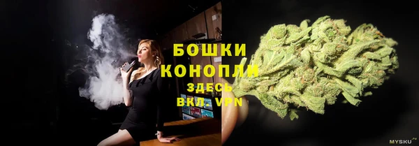 ешки Пересвет