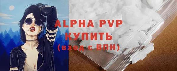ешки Пересвет